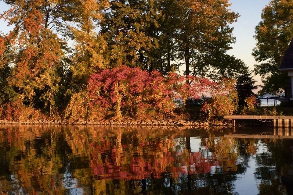 Autumn trees reflected in a Durham Region pond