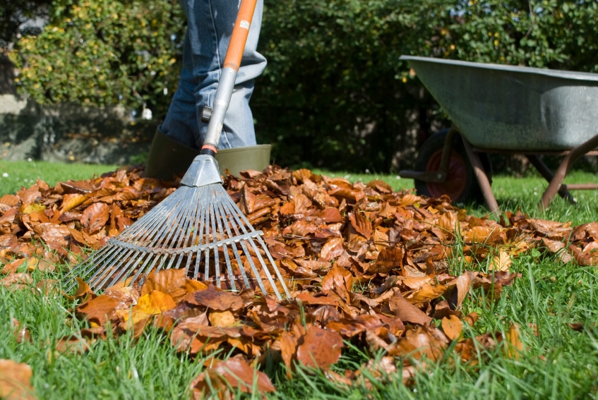 protect your yard from winter - cheryl devenney